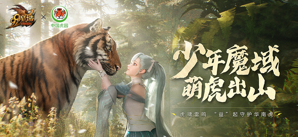 合作介绍